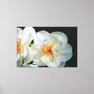 Canvas de Flor Branco