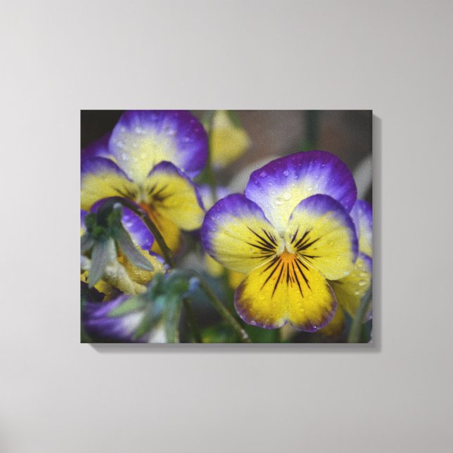 Canvas de Flor Roxo e Amarelo (Frente)