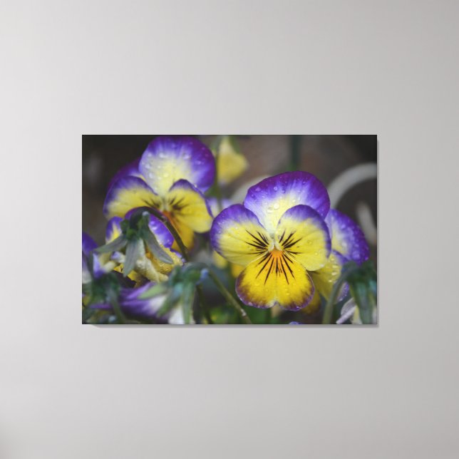 Canvas de Flor Roxo e Amarelo (Frente)