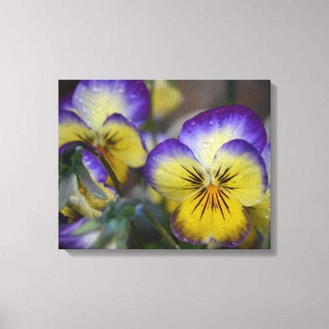 Canvas de Flor Roxo e Amarelo (Frente)