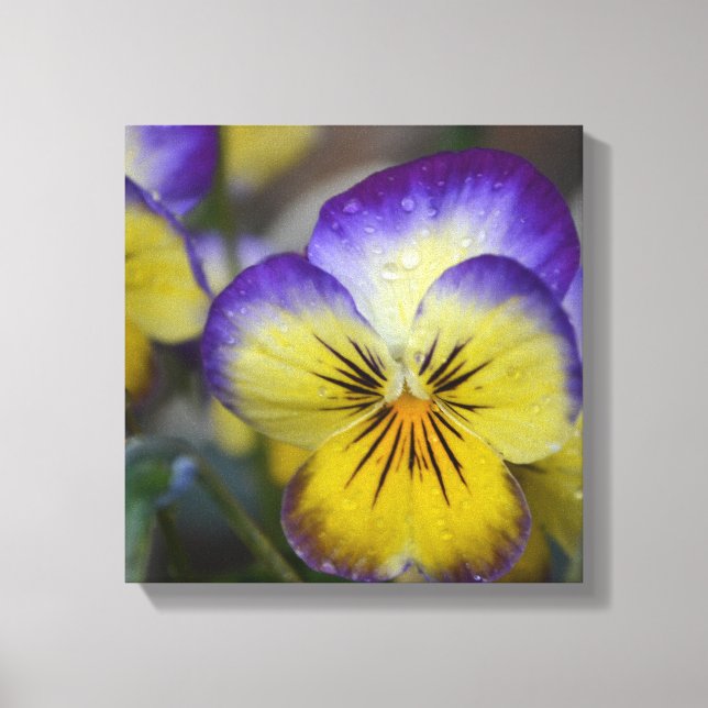 Canvas de Flor Roxo e Amarelo (Frente)