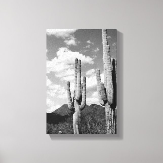 Canvas de Foto Saguaro Sentinels (Deserto do AZ So (Frente)