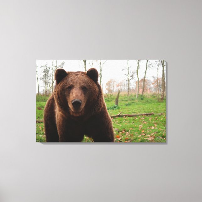 Canvas DE FOTOGRAFIA DE CARNE GRIZZELMENTE (Frente)