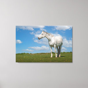 Canvas de Fotografia de Cavalo Branco