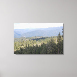 Canvas de Fotografia de Pine da Califórnia