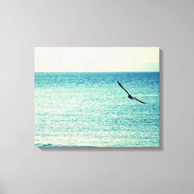 Canvas de gaivota (Frente)