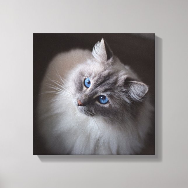 Canvas de Gato Ragdoll - Olhos Azuis de Millie (Frente)