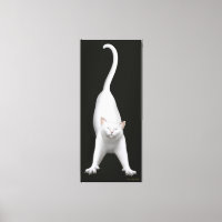 Canvas de Gatos Brancos Feliz Esticando