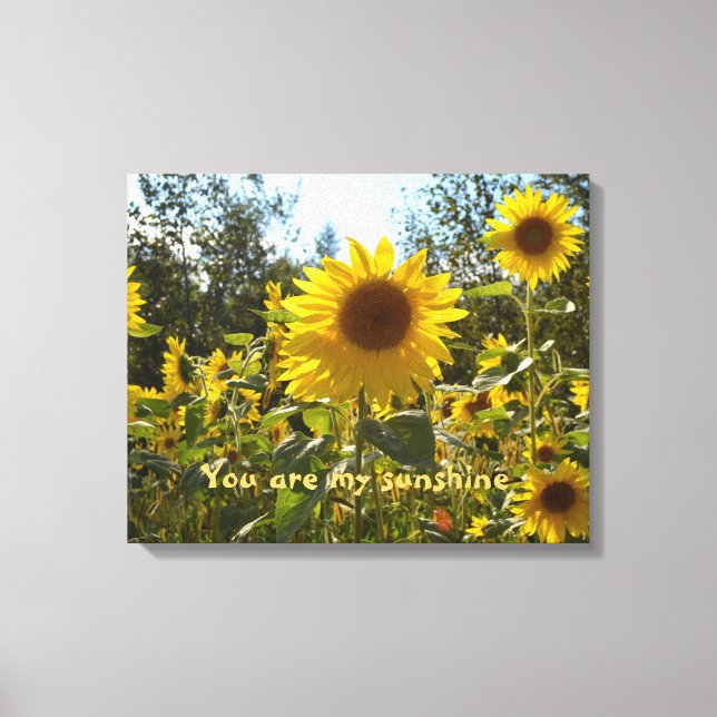 Canvas de girassol (Frente)