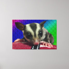 Canvas de Glider de Açúcar Jovem