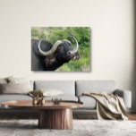 Canvas de grama de Buffalo<br><div class="desc">A fotografia africana da vida selvagem do Pathblazer Studios sobre este produto é um lembrete perfeito para quem quer que tenha feito uma visita à África para ver a vida selvagem africana e todas as suas maravilhas. Temos uma variedade de fotos originais e designs feitos por medida para você, então,...</div>