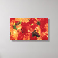 Canvas de Gummies