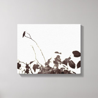 Canvas de Hummingbird 14x11 perfurado