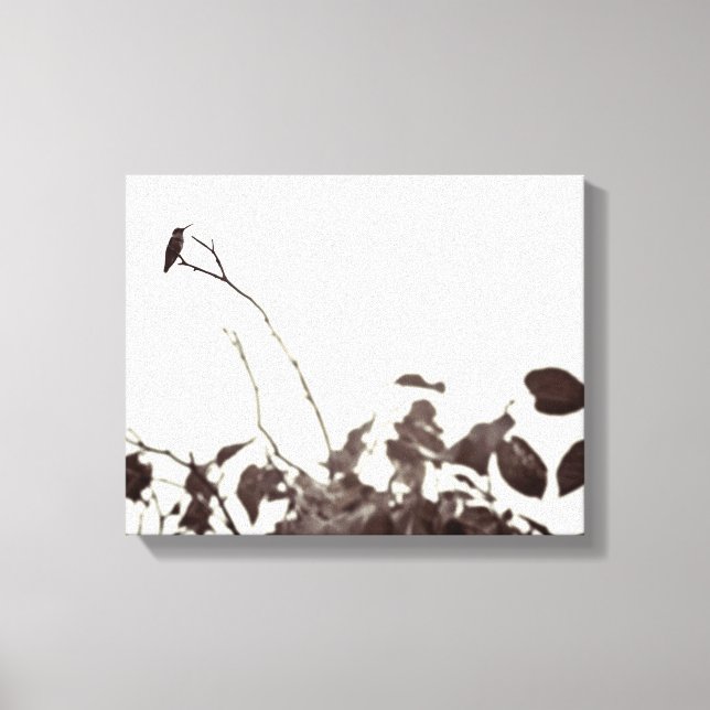 Canvas de Hummingbird 14x11 perfurado (Frente)