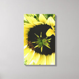 Canvas de Imagem de Girassol