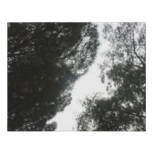 Canvas de Impressão e design