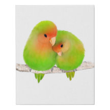 Canvas de Impressão Faux Lovebird