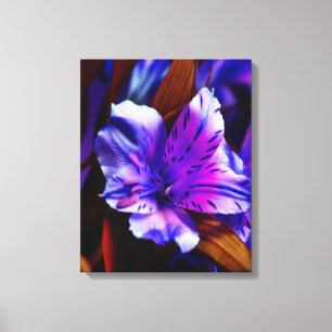 Canvas de Lily Art Roxo-Tigre Vibrante