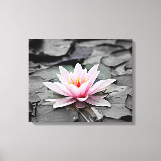 canvas de lírio de água (Frente)