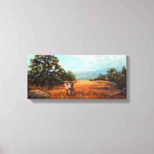 Canvas de Longhorn