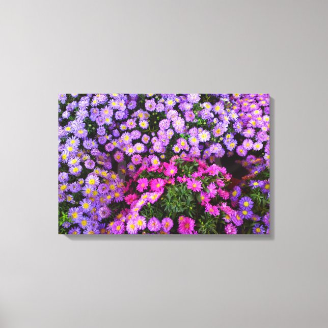 Canvas de Mãe rosa azul (Frente)
