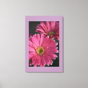 Canvas de margaridas rosa