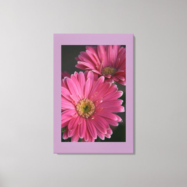 Canvas de margaridas rosa (Frente)