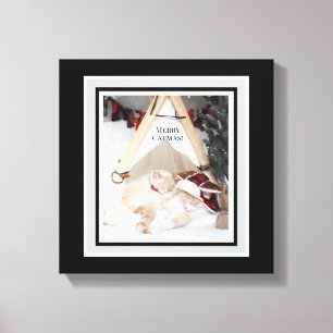 Canvas de Natal de Feliz de Gatinhos bonitas