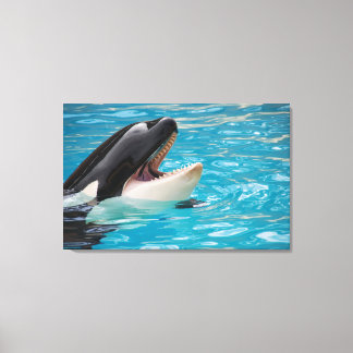 Canvas de Orca