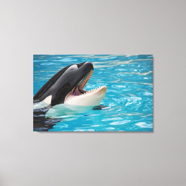 Canvas de Orca (Frente)