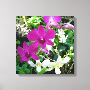 Canvas de Orquídeas Magenta