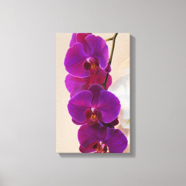 Canvas de orquídeas roxas Elegante (Frente)