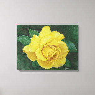 Canvas de ouros