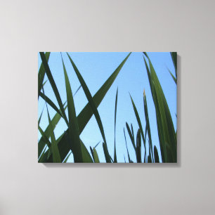 Canvas de Parede de Grass