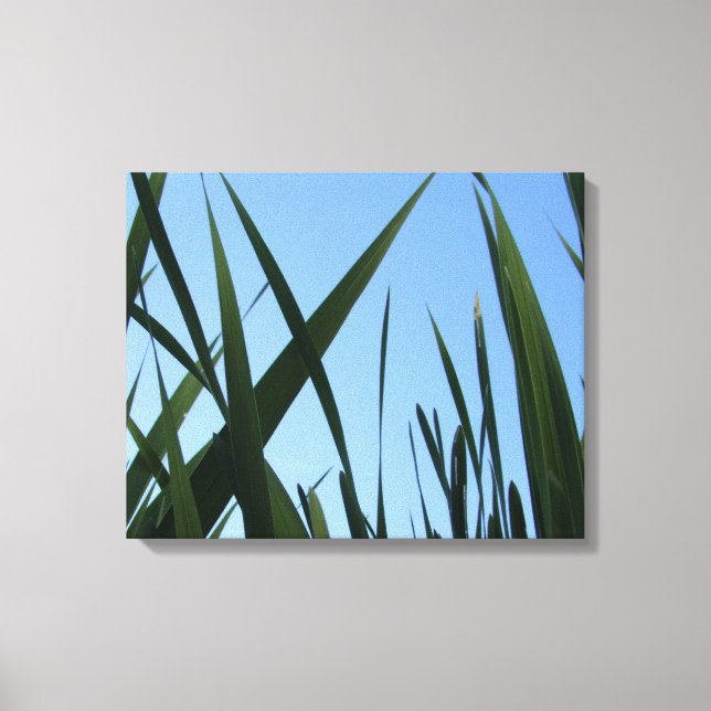 Canvas de Parede de Grass (Frente)