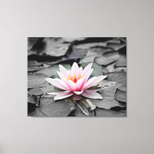 Canvas de parede estendida
