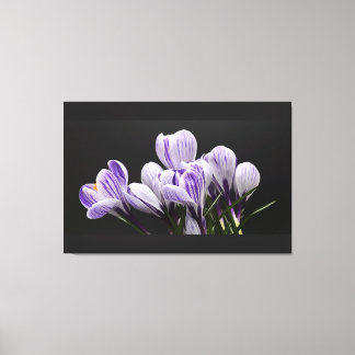 Canvas de parede estendida