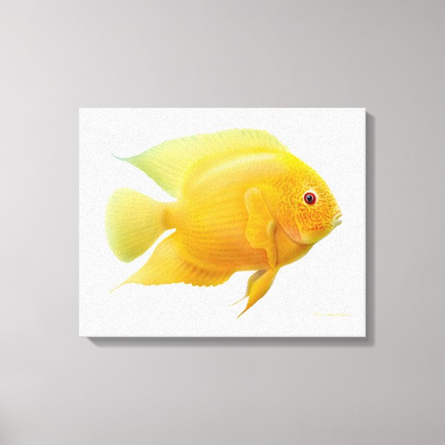 Canvas de Peixe-Cichlil Dourado de Limão (Frente)