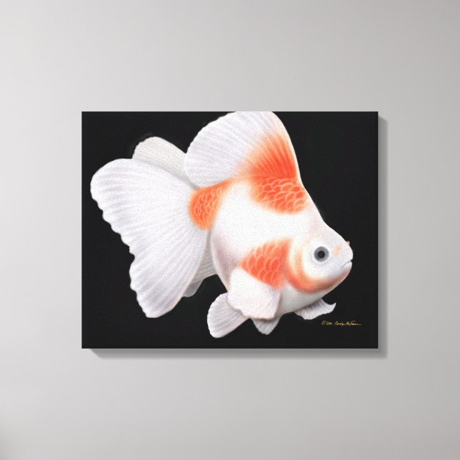 Canvas de Peixe-Peixe-Ouro do Ryukin (Frente)