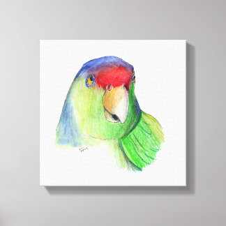 canvas de periquito fofo
