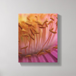 Canvas de pólen da flor rosa