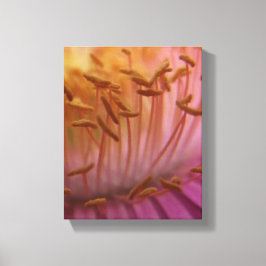 Canvas de pólen da flor rosa