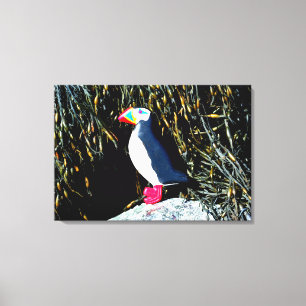 canvas de puffin atlântico esculpida