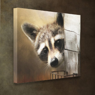 Canvas de Raccoon Wildlife