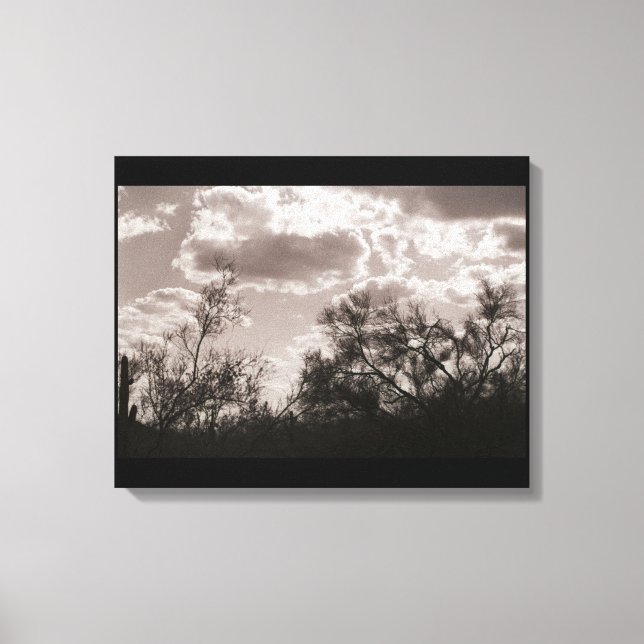 Canvas de retroiluminação do pincel (Deserto AZ So (Frente)
