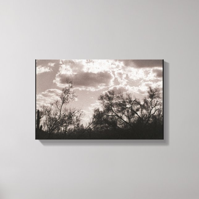 Canvas de retroiluminação do pincel (Deserto AZ So (Frente)