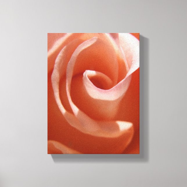 Canvas de Rosa de pêssego (Frente)