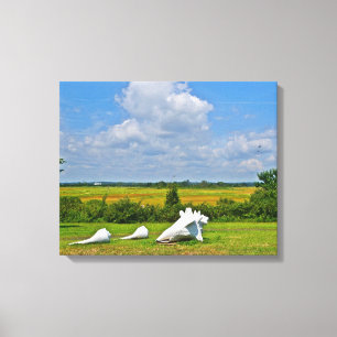 Canvas de Seashell