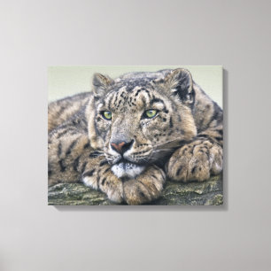 Canvas de Sonhos de Leopard