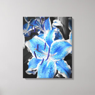 Canvas de Stargazer Azul